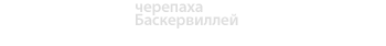 lynx slogan #00008