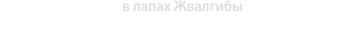 lynx slogan #00115
