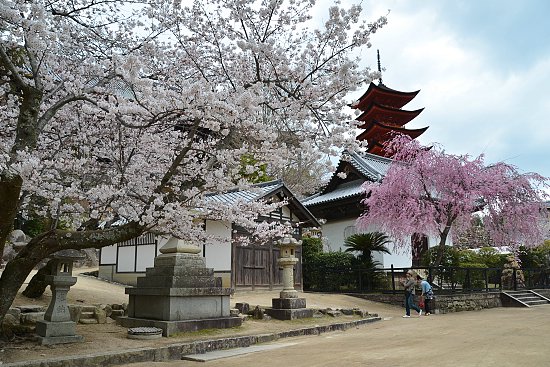 Hiroshima, Itsukushima shrine, April 2011