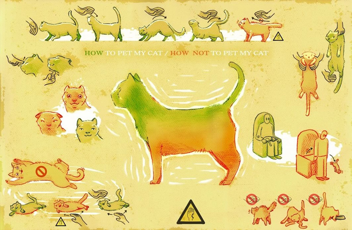 как правильно гладить кошек — научная инструкция, советы бывалых ветеринаров