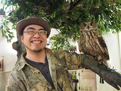 owl cafe in  Japan